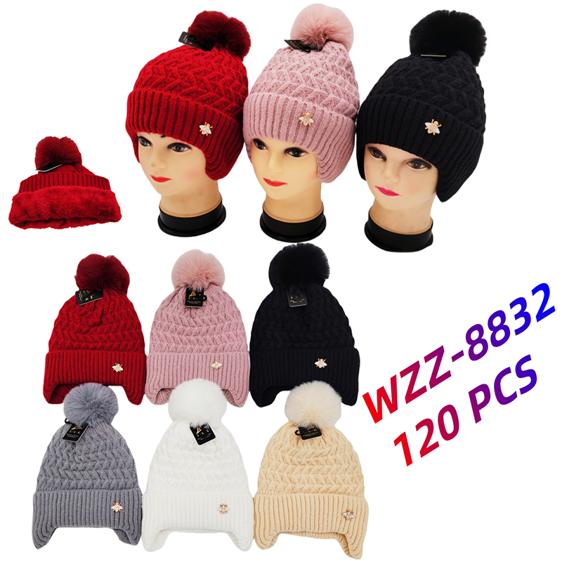 WZZ-8832 CS120